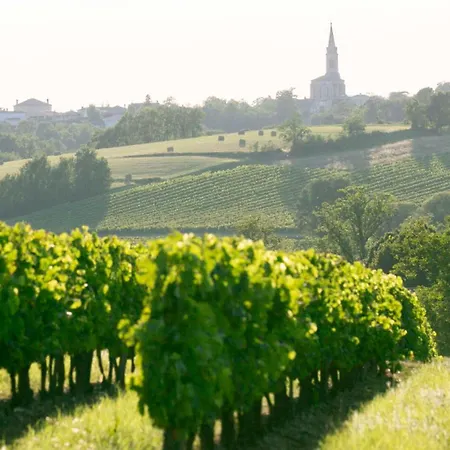 Bed & Breakfast Martineau